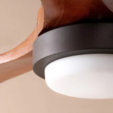 Black Modern for Study Room Fan Light