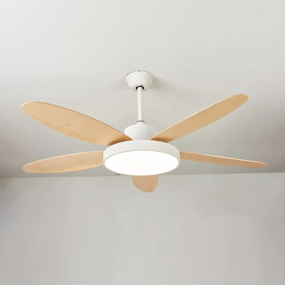 Five-Blade Modern Study Room Fan Light