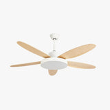 Five-Blade Modern Study Room Fan Light