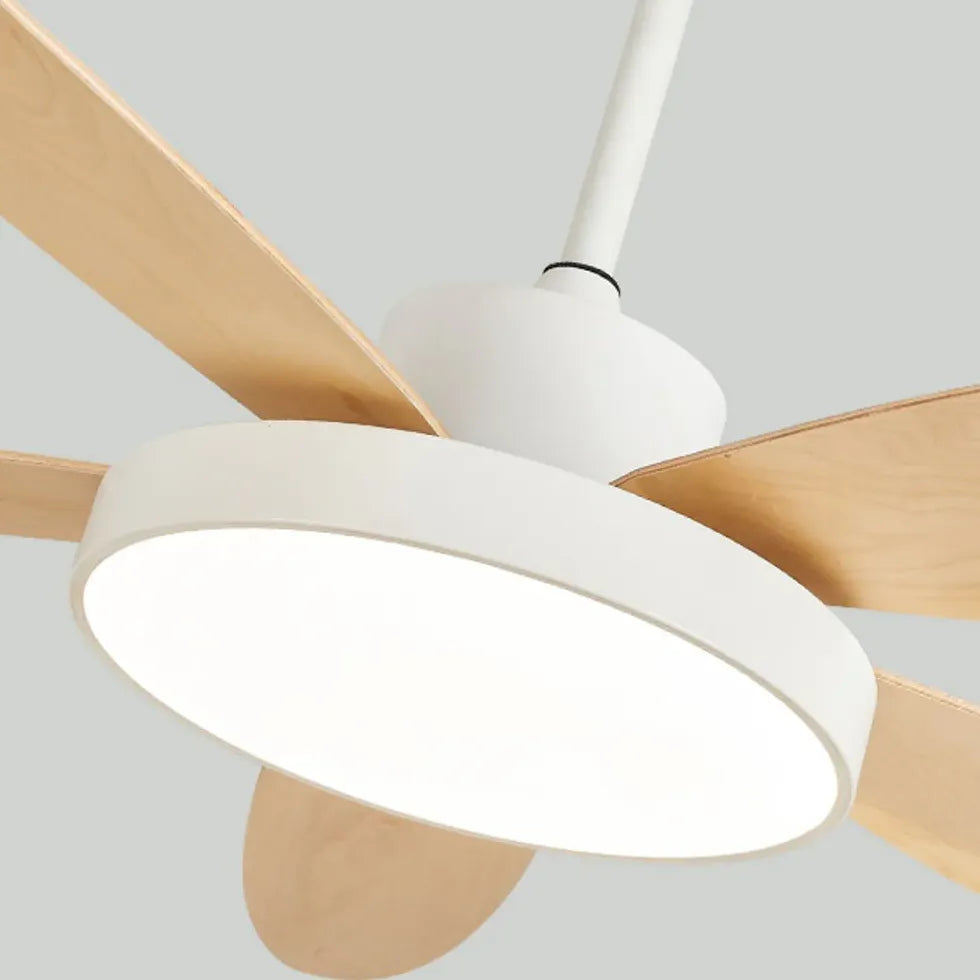 Five-Blade Modern Study Room Fan Light