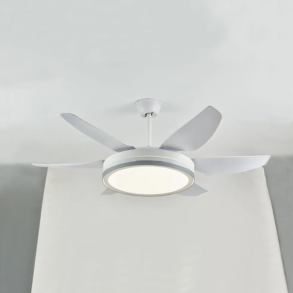 Black Metal Modern Minimalist Fan Light