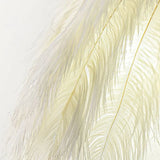 Feather Wall Light White Indoor