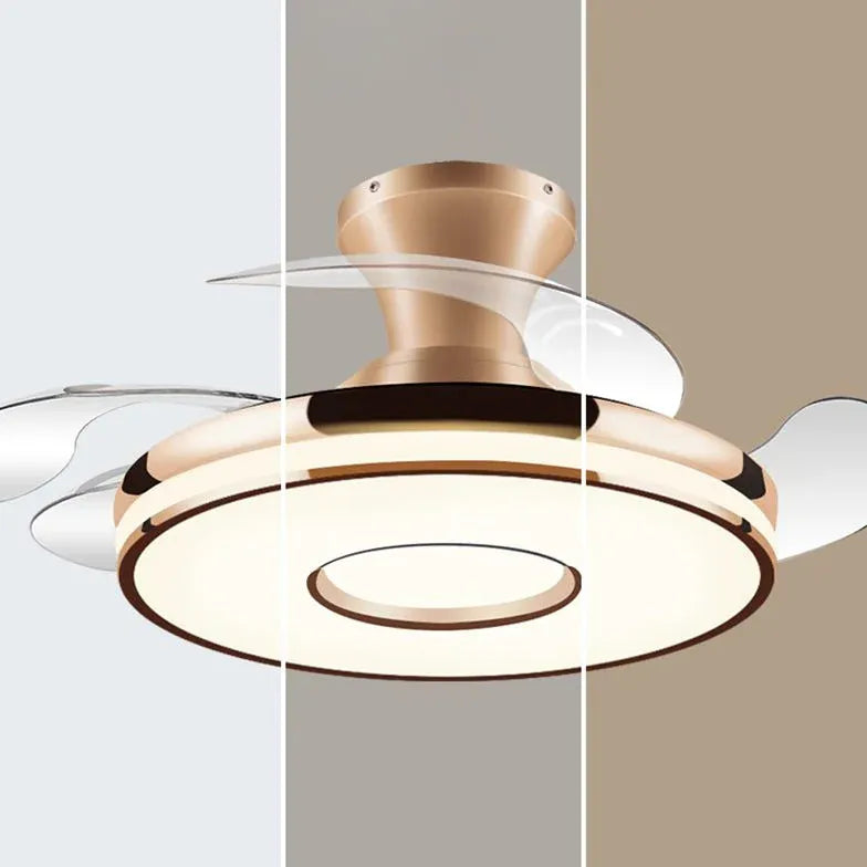 Transparent Ceiling Fan with Light Modern