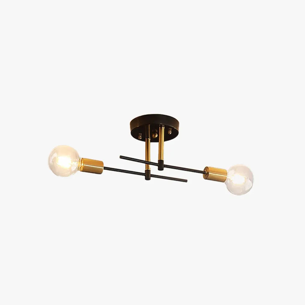 Dual-Head Minimalist Black Modern Ceiling Light